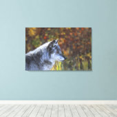 Wolf (Canis Lupus) 2 Leinwanddruck (Insitu (Holzboden))