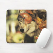 Wolf (Canis lupus), Headshot, Herbstfarbe, Mousepad (Mit Mouse)