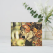 Wolf (Canis lupus), Headshot, Herbstfarbe, Postkarte (Stehend Vorderseite)