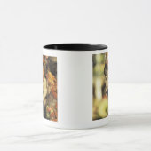 Wolf (Canis Lupus), Headshot, mit Herbstfarbe, Tasse (Zentrum)