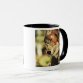 Wolf (Canis Lupus), Headshot, mit Herbstfarbe, Tasse (VorderseiteRechts)