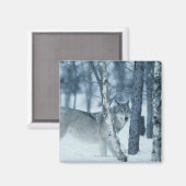 Wolf (Canis lupus) im Winter Magnet (Vorderseite/Rückseite)