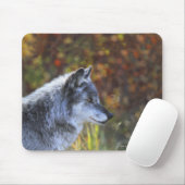Wolf (Canis Lupus) Mousepad (Mit Mouse)