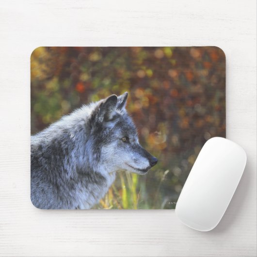 Wolf (Canis Lupus) Mousepad (Mit Mouse)