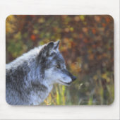 Wolf (Canis Lupus) Mousepad (Vorne)