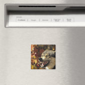 Wolf (Canis lupus), Schnauze, mit Kopf Magnet (In Situ (Geschirrspüler))
