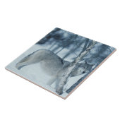 Wolf (Canis Lupus) während des Winters Fliese (Seite)