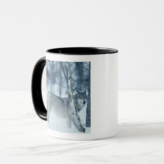 Wolf (Canis Lupus) während des Winters Tasse (Vorderseite Links)