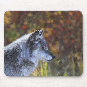 Wolf (CanisLupus) Mousepad