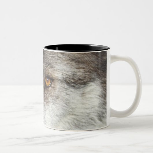 Wolf (CanisLupus) Zweifarbige Tasse (Rechts)