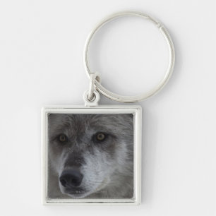 Wolf (Canus Lupus) von Schlüsselanhänger