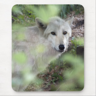 Wolf-Charme Mousepad