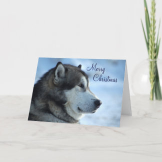 Wolf Christmas Card - Frohe Weihnachten