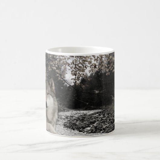 Wolf Creek Brook Forest Landschaft Kaffeetasse (Mittel)