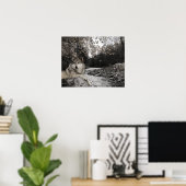 Wolf Creek Brook Forest Landschaft Poster (Heimbüro)