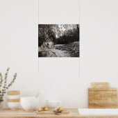Wolf Creek Brook Forest Landschaft Poster (Küche)