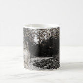 Wolf Creek Brook Waldlandschaft Kaffeetasse (Mittel)