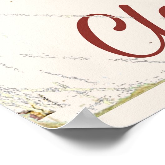 Wolf Creek Olympic National Park Travel Poster. Poster (Ecke)