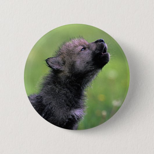 Wolf Cub Howling Button (Vorderseite)