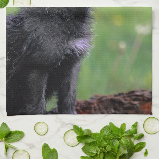 Wolf Cub Howling Küchentuch (Gefaltet)