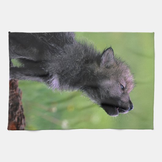 Wolf Cub Howling Küchentuch (Horizontal)