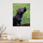 Wolf Cub Howling Poster (Küche)