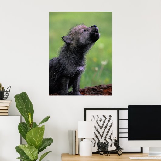 Wolf Cub Howling Poster (Heimbüro)