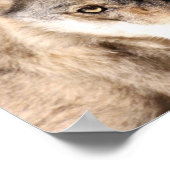Wolf Cub Poster (Ecke)