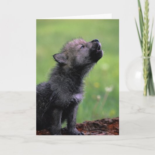 Wolf Cube Howling Vermisst You Card Karte (Vorderseite)