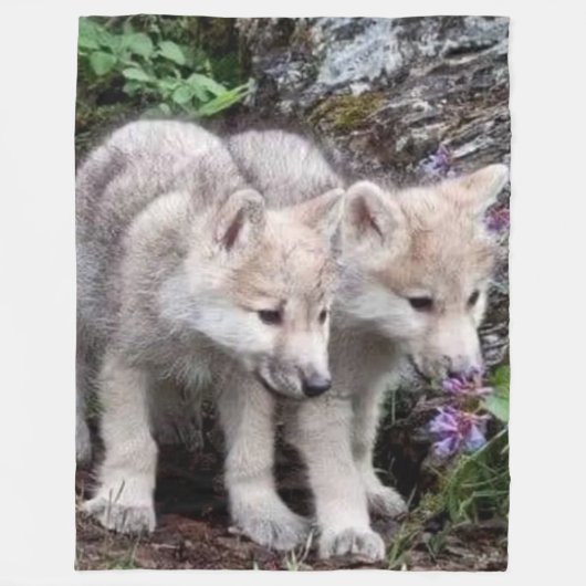 WOLF CUBS FLEECEDECKE (Vorderseite)