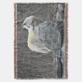 Wolf Decke (Vorderseite Vertikal)