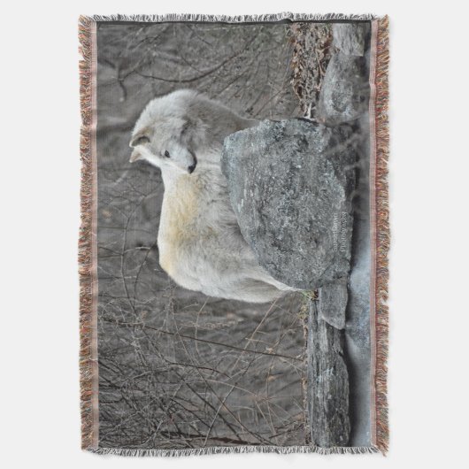 Wolf Decke (Vorderseite Vertikal)