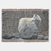 Wolf Decke (Vorderseite)