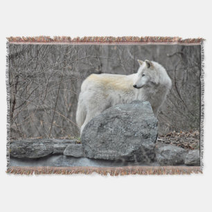 Wolf Decke