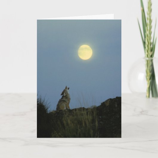 Wolf, der Vollmond heult Karte (Vorderseite)
