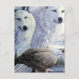 Wolf Eagle Animals Naturpark Büro für Naturschutz Postkarte