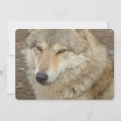 Wolf Einladung (Vorderseite)