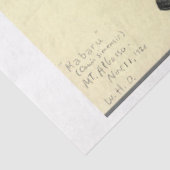 Wolf Ephemera Decoupage Seidenpapier (Ausschnitt)