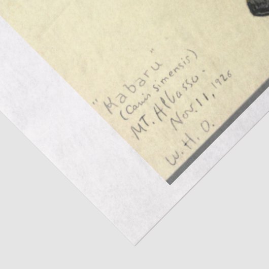 Wolf Ephemera Decoupage Seidenpapier (Ausschnitt)