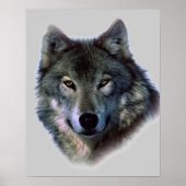 Wolf Eyes Artwork Poster (Vorne)