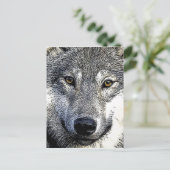 Wolf Eyes Artwork Postkarte (Stehend Vorderseite)
