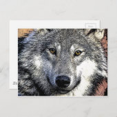 Wolf Eyes Artwork Postkarte (Vorne/Hinten)