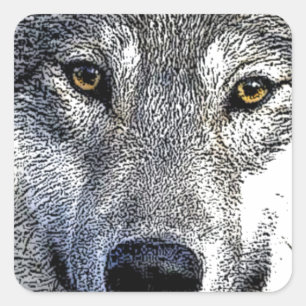 Wolf Eyes Artwork Quadratischer Aufkleber