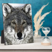 Wolf Eyes Fotoplatte (Seite)