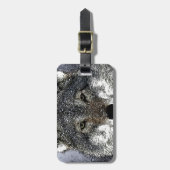 Wolf Eyes Gepäckanhänger (Vorderseite vertikal)