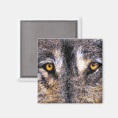 Wolf Eyes Magnet (Vorderseite/Rückseite)