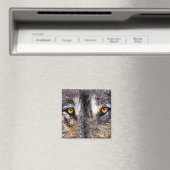 Wolf Eyes Magnet (In Situ (Geschirrspüler))