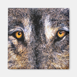 Wolf Eyes Magnet