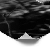 Wolf Eyes Poster (Ecke)