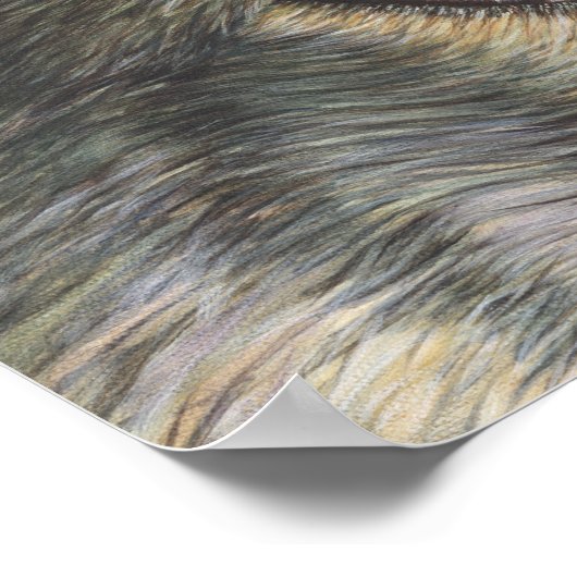 Wolf Eyes Poster (Ecke)